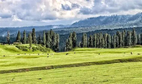 Day 9: Srinagar → Doodhpathri